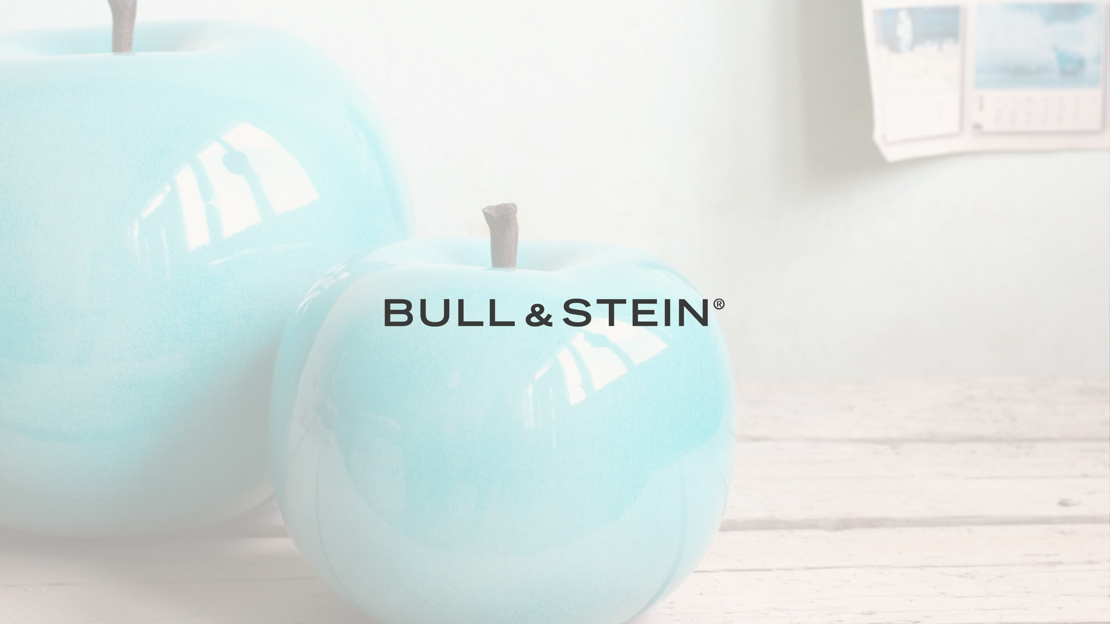 Bull & Stein