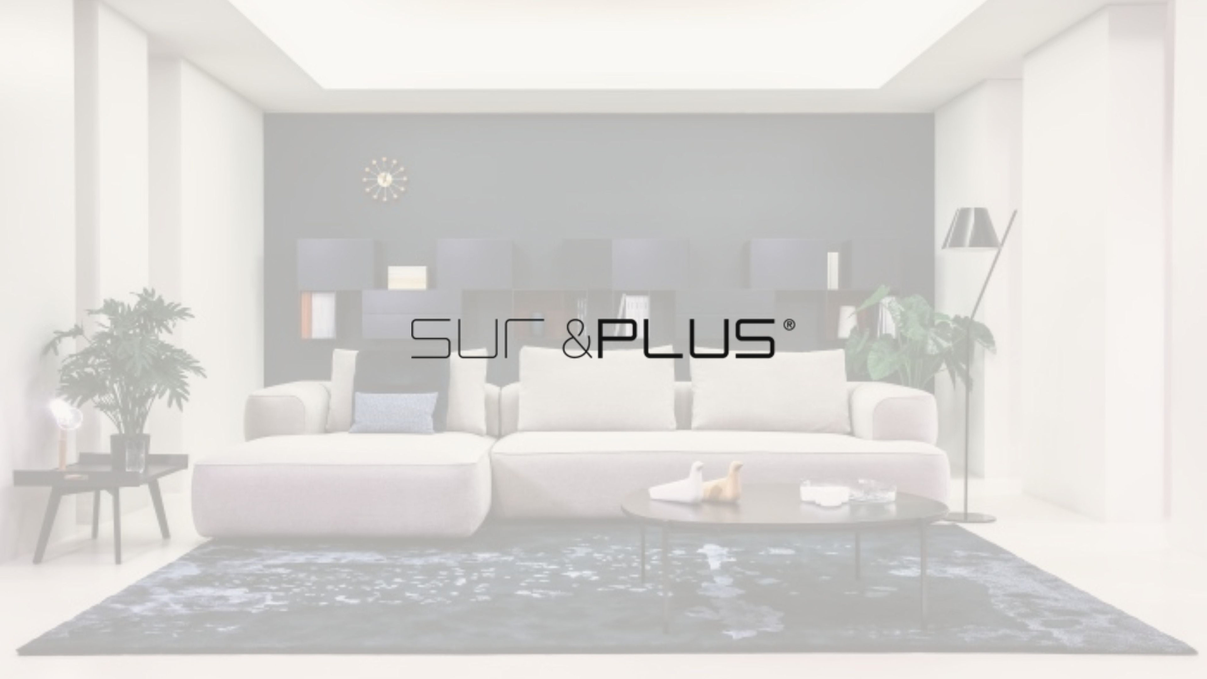 Sur & Plus