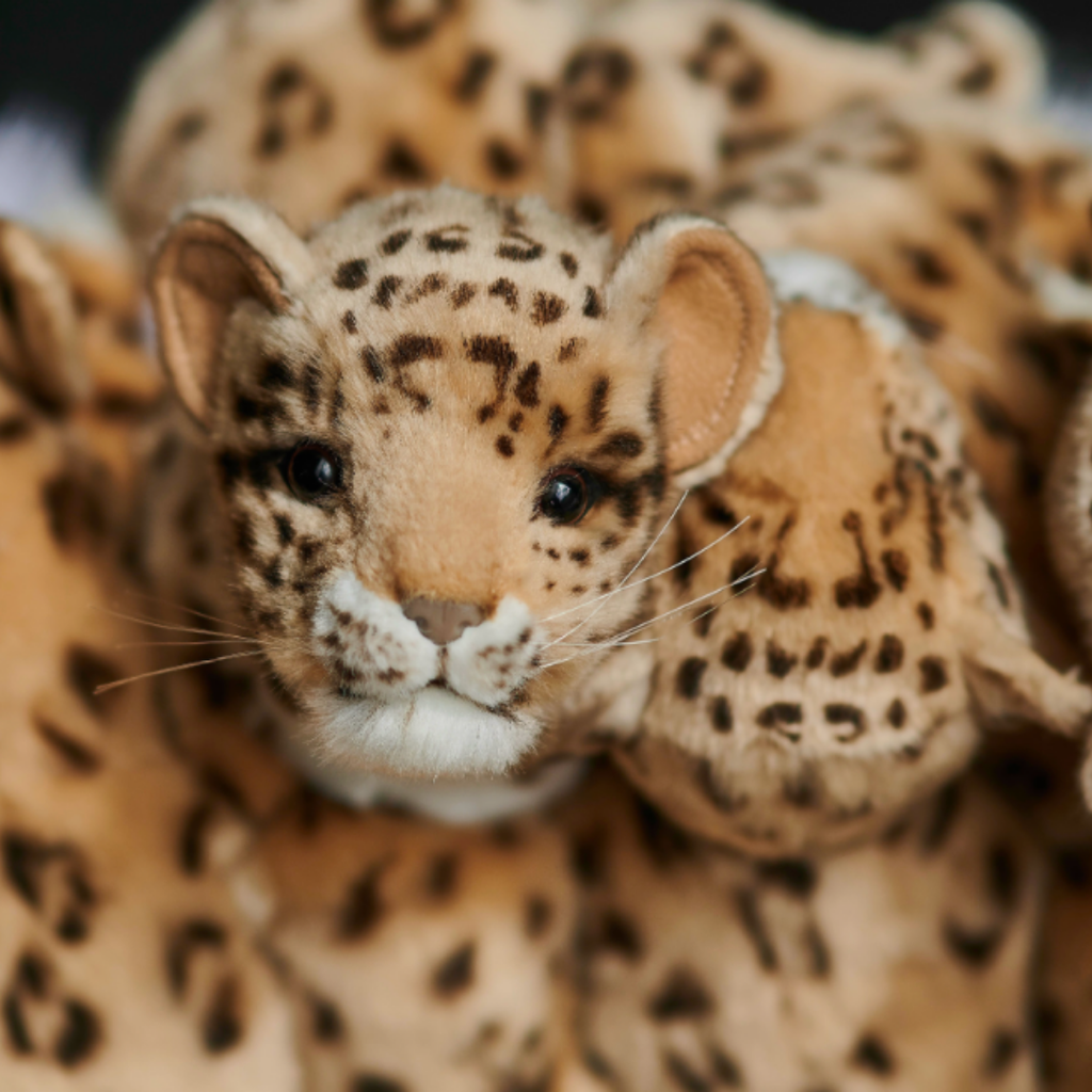 Luxury designer furniture and interior pieces available at Royal Interiors Singapore showroom