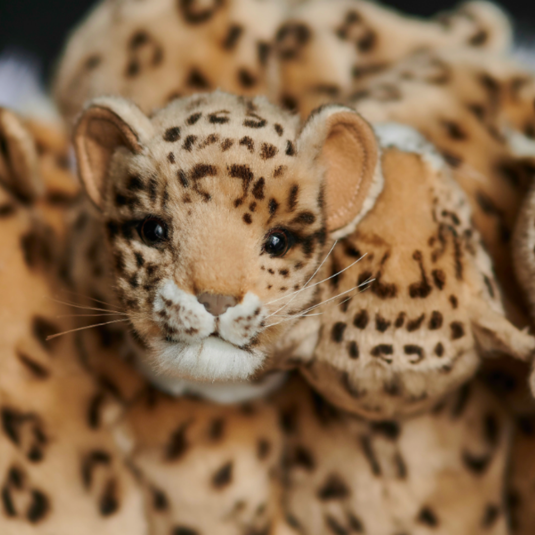 AP Collection whimsical designer seating – now at Royal Interiors Singapore showroom