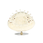 AP Collection whimsical designer seating – now at Royal Interiors Singapore showroom