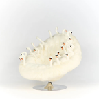 Luxury designer furniture and interior pieces available at Royal Interiors Singapore showroom