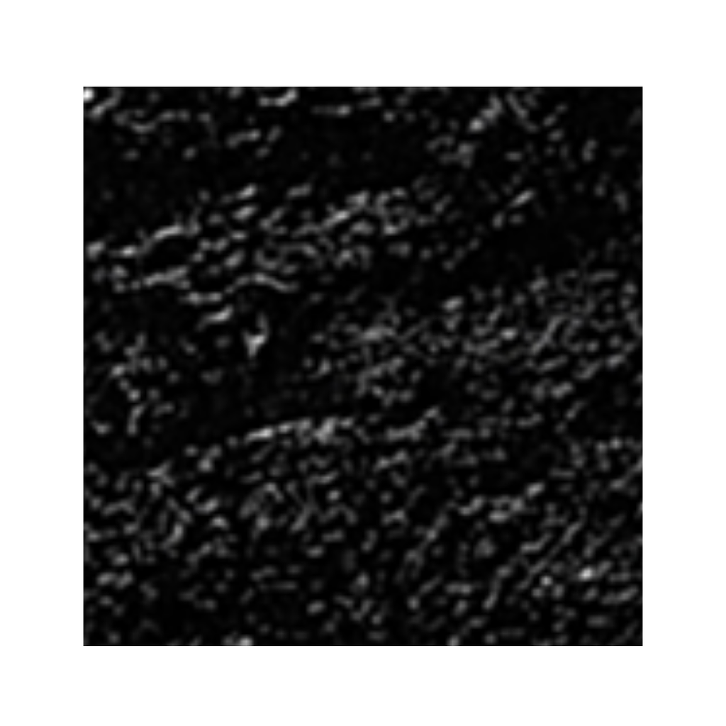 Eforma contemporary Italian furniture featuring sculptural tables and seating crafted in glass, marble, metal, and wood, displayed at Royal Interiors Singapore showroom