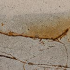 Designer furniture pieces by Chateau D'Ax, Chi Wing Lo, De Sede, Flou, Gamma Arredamenti, Lago, Liu Jo Living, Malerba, Missoni Home, Poltronova, Rolf Benz, Sur & Plus, Walter Knoll, Zanotta, Fiam, Jab, Giulio Marelli, Kristalia, Paolo C, Compar, Cornelio Cappellini, i4Mariani, Natisa, Potocco, Riva 1920, and more available at Royal Interiors Singapore. Shop showroom pieces at Royal 1956 in Delta House or Tan Boon Liat.