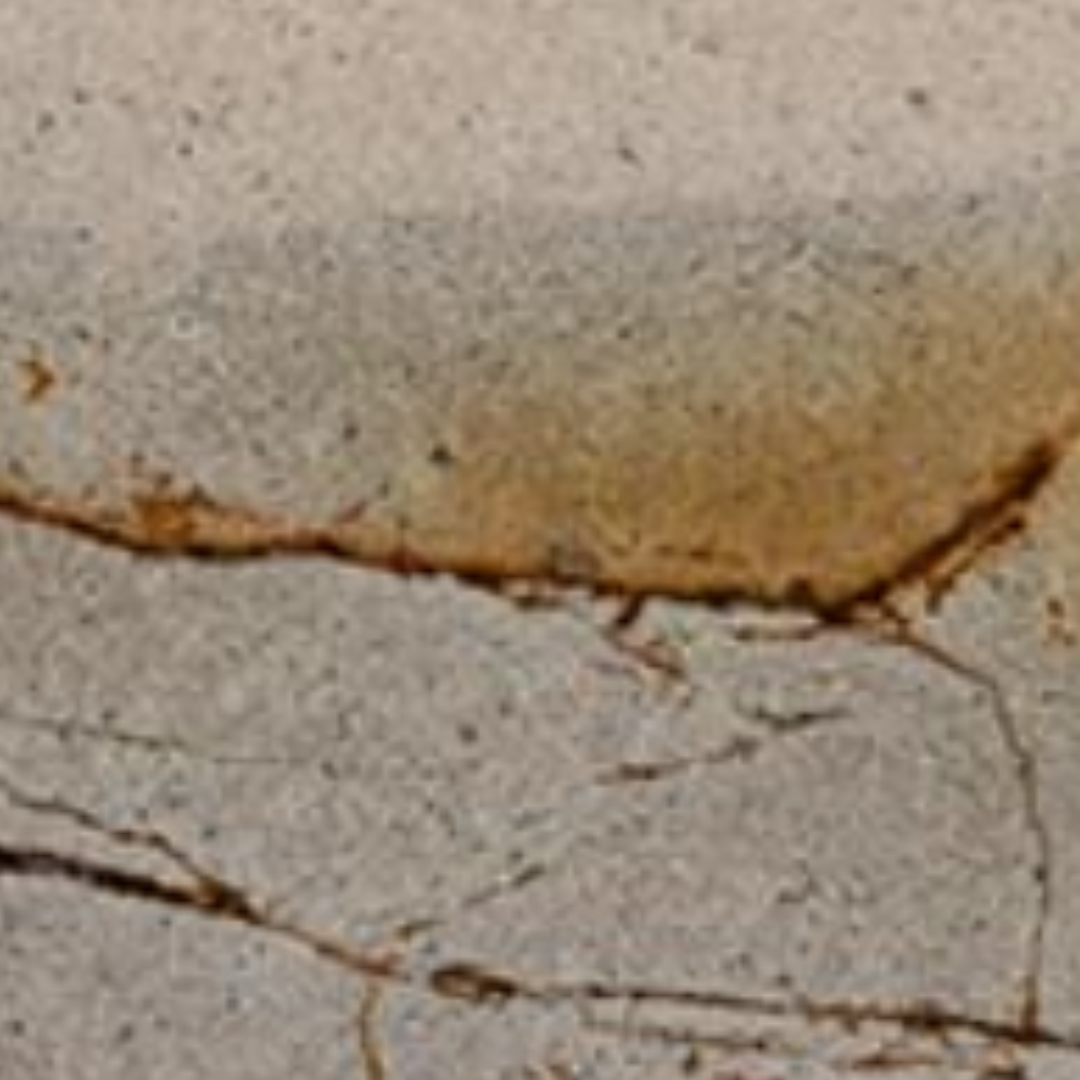 Designer furniture pieces by Chateau D'Ax, Chi Wing Lo, De Sede, Flou, Gamma Arredamenti, Lago, Liu Jo Living, Malerba, Missoni Home, Poltronova, Rolf Benz, Sur & Plus, Walter Knoll, Zanotta, Fiam, Jab, Giulio Marelli, Kristalia, Paolo C, Compar, Cornelio Cappellini, i4Mariani, Natisa, Potocco, Riva 1920, and more available at Royal Interiors Singapore. Shop showroom pieces at Royal 1956 in Delta House or Tan Boon Liat.