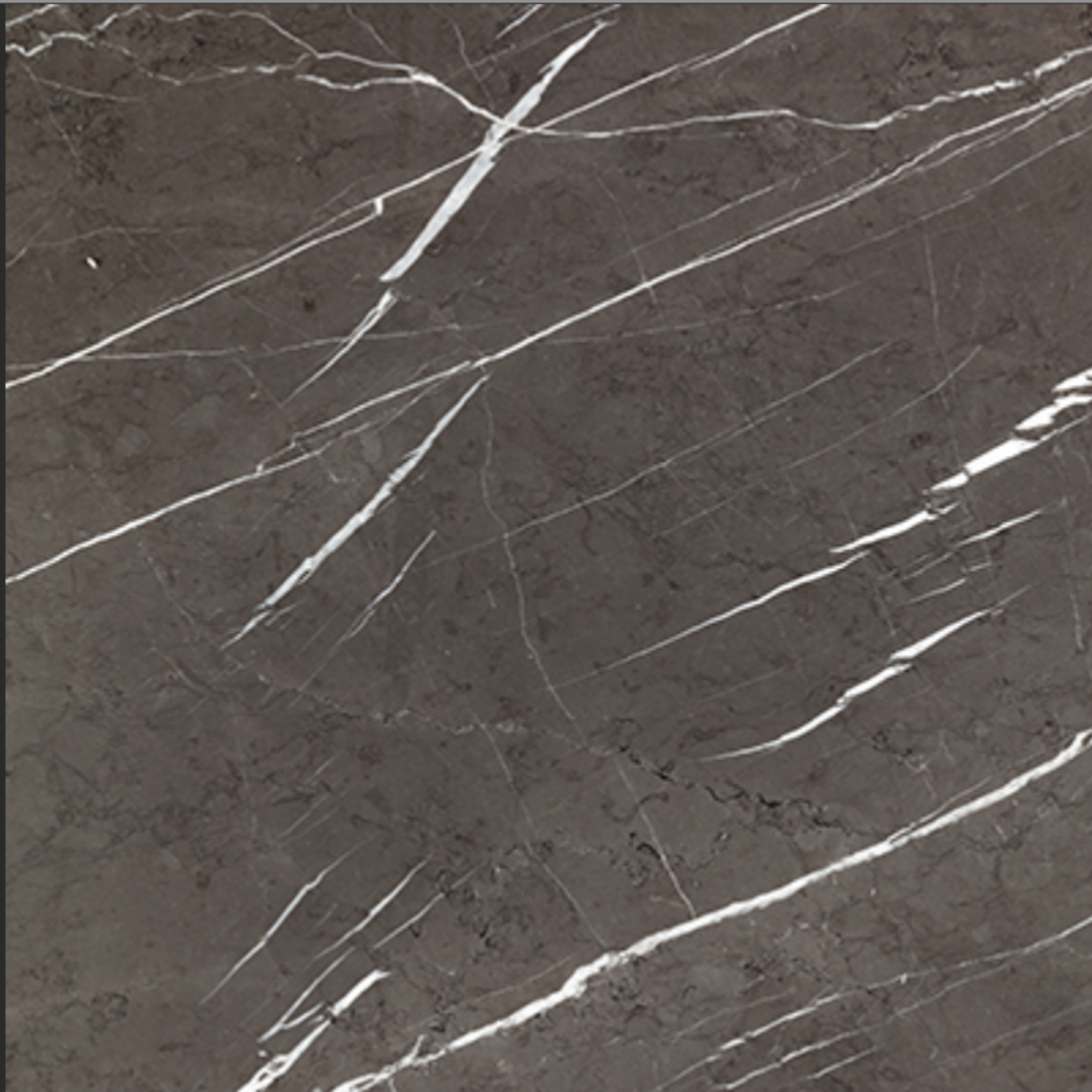 Designer furniture pieces by Chateau D'Ax, Chi Wing Lo, De Sede, Flou, Gamma Arredamenti, Lago, Liu Jo Living, Malerba, Missoni Home, Poltronova, Rolf Benz, Sur & Plus, Walter Knoll, Zanotta, Fiam, Jab, Giulio Marelli, Kristalia, Paolo C, Compar, Cornelio Cappellini, i4Mariani, Natisa, Potocco, Riva 1920, and more available at Royal Interiors Singapore. Shop showroom pieces at Royal 1956 in Delta House or Tan Boon Liat.