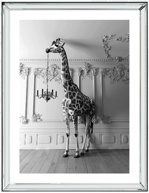 Giraffe In The Room