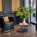 Luxury designer furniture and interior pieces available at Royal Interiors Singapore showroom