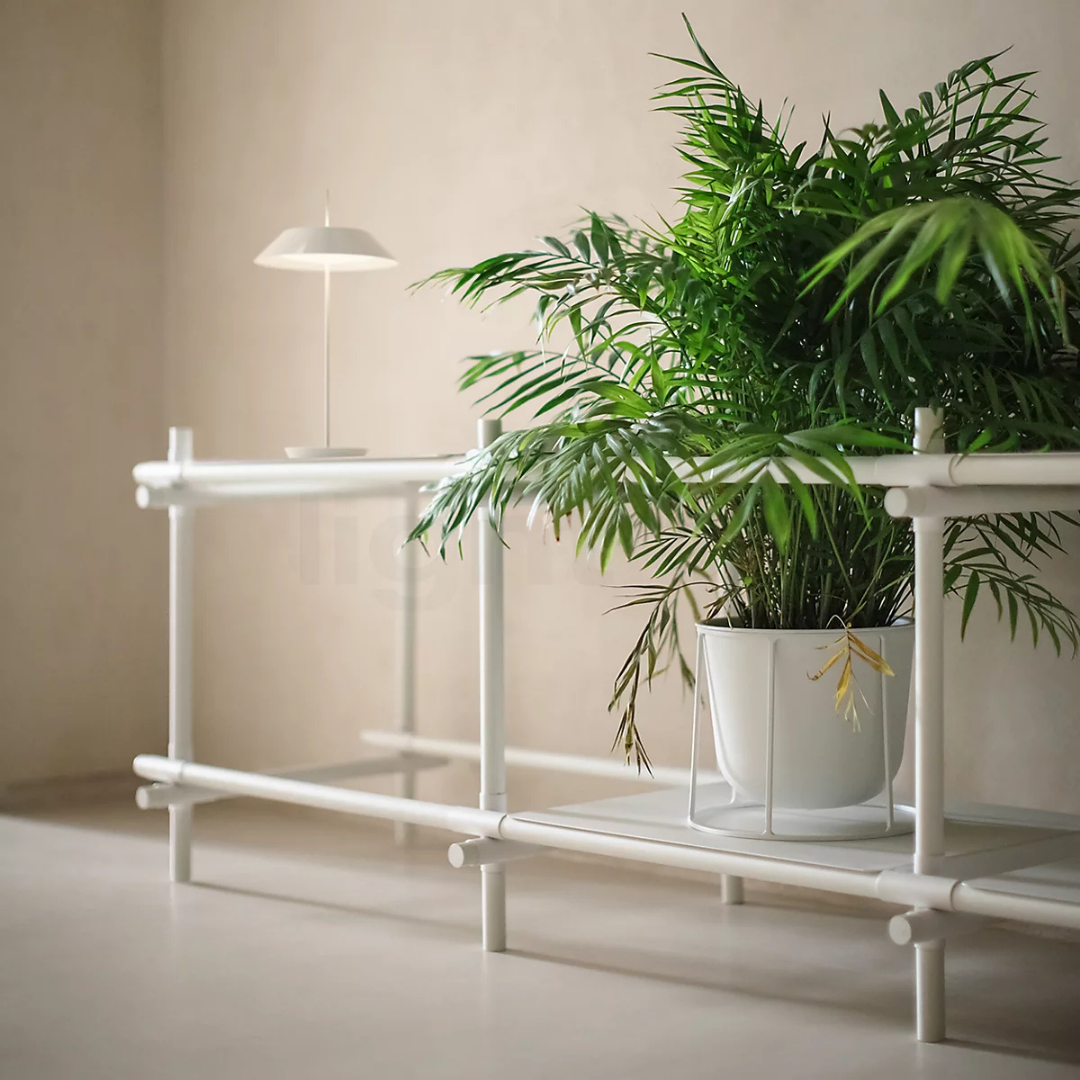 Luxury designer furniture and interior pieces available at Royal Interiors Singapore showroom